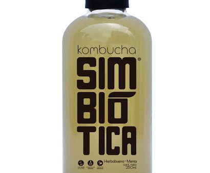 Kombucha Hierbabuena For Cheap