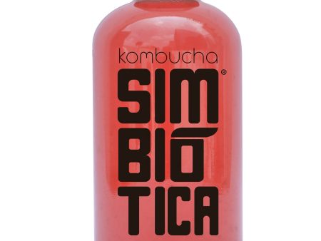 Kombucha de Temporada For Cheap