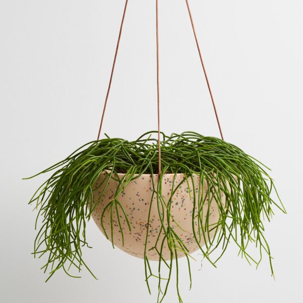 Terrazzo Dome Hanging Pot For Discount