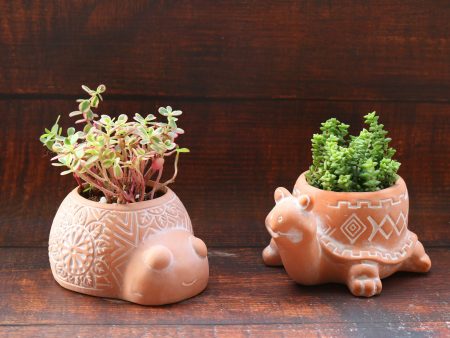 Terracotta Animal Succulent Planter, Turtle Ladybug Pots Home Decor, 2-pack Smaller Planter Set on Sale