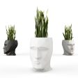 Adan Planter Online now