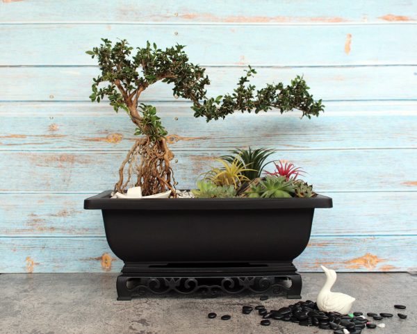 Bonsai Pot with Stand 11.5 Inch Medium Bonsai Tree Training Pot Mesh Drainage Recycled Plastic Fashion