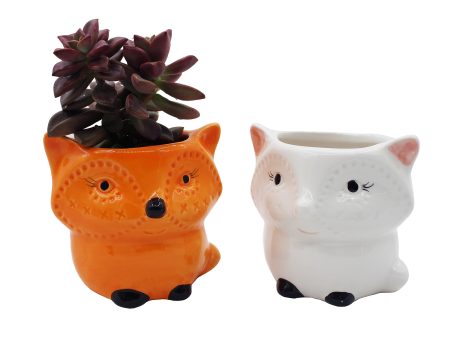 Fox Succulent Planters 2 Pack Ceramic Flower Pots with Drainage Hole Discount