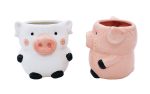 Pig Planters Kitchen Home Decor 2 Pack Ceramic Succulent Flower Pots with Drainage Hole on Sale