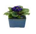 Self Watering Square Pot 4 Inch Ceramic Planter, African Violet Pot, Succulent Planter, Office Decoration For Sale