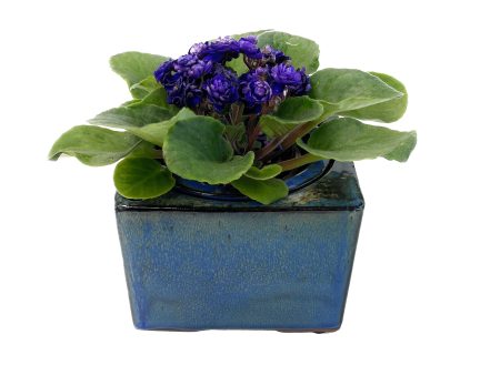 Self Watering Square Pot 4 Inch Ceramic Planter, African Violet Pot, Succulent Planter, Office Decoration For Sale