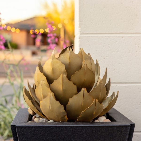 Artichoke in Parks Cheap