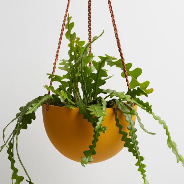 Block Colour Dome Hanging Pot Online now