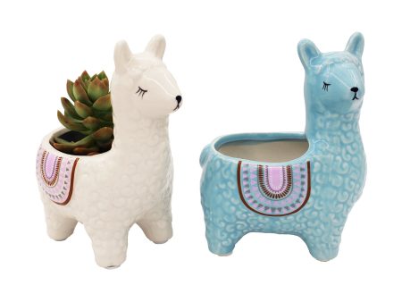 Alpaca Succulent Pots 2 Pc. Set Animal Planter Pots for Cactus Small Plants Online Sale