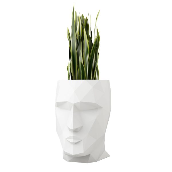 Adan Planter Online now