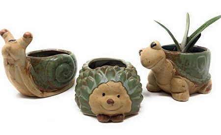 3 Pack Animal Planter Pots for Succulent or Small Plants Turtle Snail Hedgehog For Sale