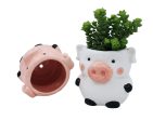 Pig Planters Kitchen Home Decor 2 Pack Ceramic Succulent Flower Pots with Drainage Hole on Sale