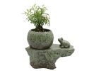 Self-watering Pot Set With Plant Buddy Frog Figurine and Cotton Wick Cord, Patina Glaze Ceramic Planter Sale