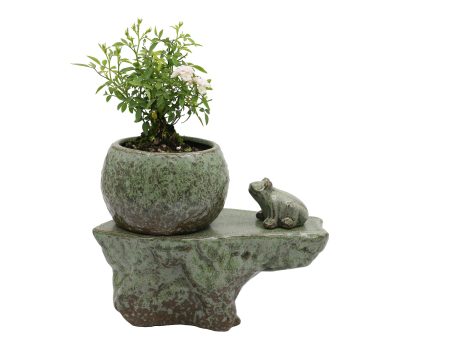 Self-watering Pot Set With Plant Buddy Frog Figurine and Cotton Wick Cord, Patina Glaze Ceramic Planter Sale