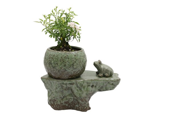 Self-watering Pot Set With Plant Buddy Frog Figurine and Cotton Wick Cord, Patina Glaze Ceramic Planter Sale