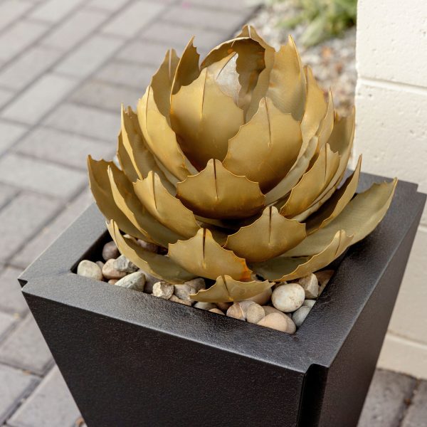 Artichoke in Parks Cheap