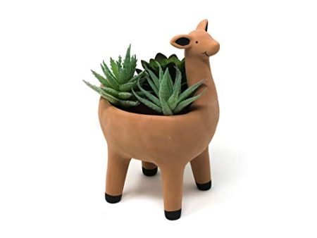 Cute Alpaca Succulent Planter Pot in Terracotta Color 3.5 Inch Wide Indoor Outdoor Home Decoration For Discount