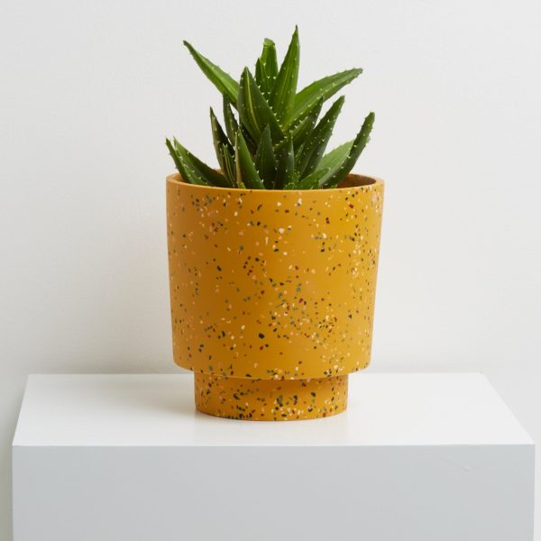 Terrazzo Banjo Pot Online