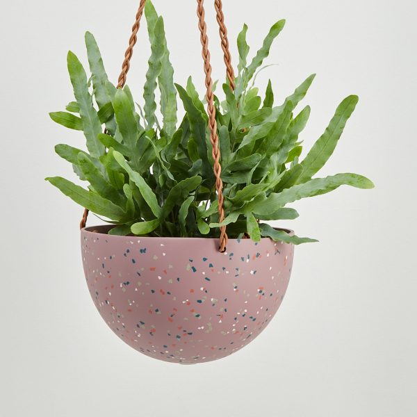 Terrazzo Dome Hanging Pot For Discount