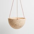 Terrazzo Dome Hanging Pot For Discount