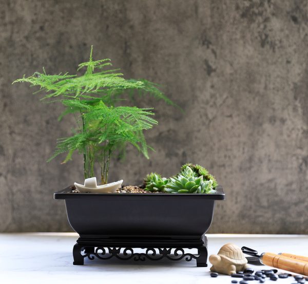 Bonsai Pot with Stand 9 Inch Medium Small Bonsai Tree Training Pot Mesh Drainage Recycled Plastic Online Hot Sale