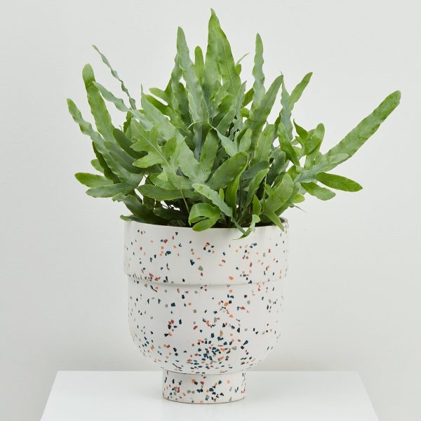 Funnel Planter Online