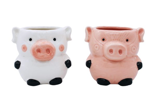 Pig Planters Kitchen Home Decor 2 Pack Ceramic Succulent Flower Pots with Drainage Hole on Sale