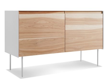 Clad 2 Door Credenza Online Hot Sale