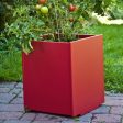 Mondo Planter Online