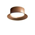 Maine Large Ceiling or Wall Light Supply