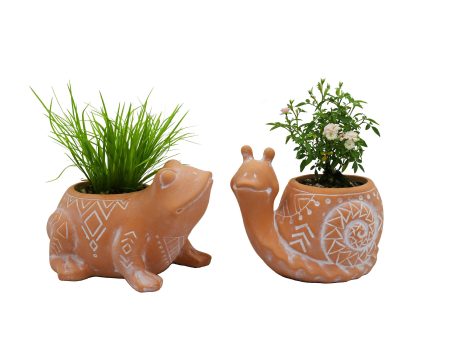 Terracotta Animal Planter Succulent Pots, Frog Snail Pots 2-Pack, Cute Garden Decor, 2.5 Inch Pots For Discount