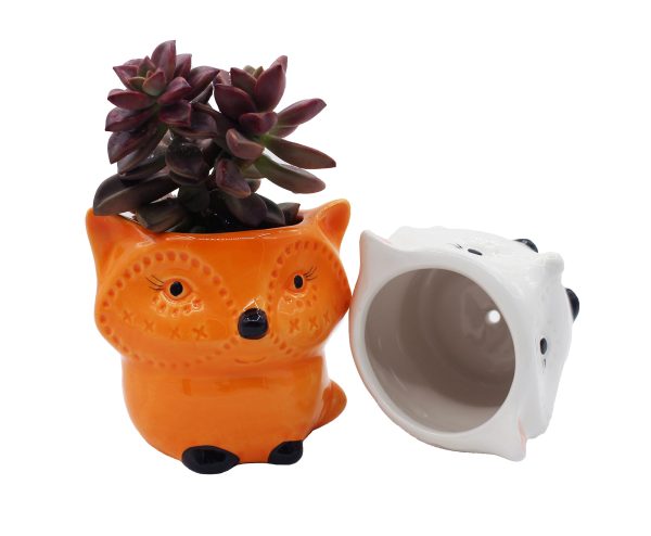 Fox Succulent Planters 2 Pack Ceramic Flower Pots with Drainage Hole Discount