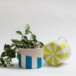 Striped Basket on Sale