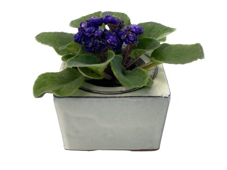 Self Watering Square Pot 4 Inch Ceramic African Violet Planter Vanilla For Cheap