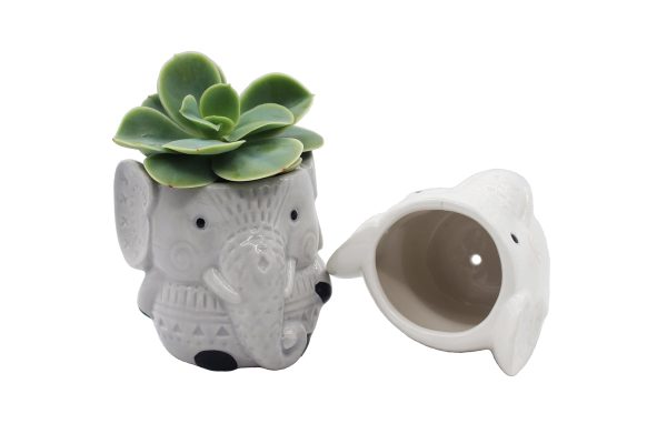 Elephant Succulent Planters 2 Pack Ceramic Flower Pots with Drainage Hole For Discount