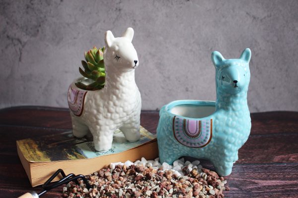 Alpaca Succulent Pots 2 Pc. Set Animal Planter Pots for Cactus Small Plants Online Sale