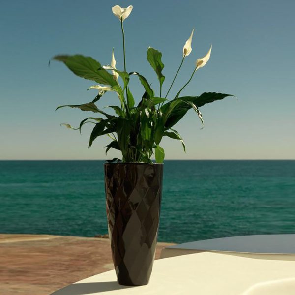 Vases Nano Planter Online