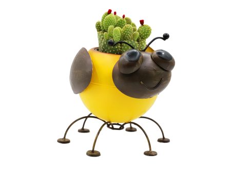 Metal Planter Bumble Bee with Pot Liner for Succulent Cacti Small Plants Fashion