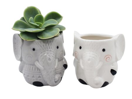 Elephant Succulent Planters 2 Pack Ceramic Flower Pots with Drainage Hole For Discount