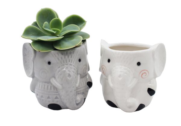 Elephant Succulent Planters 2 Pack Ceramic Flower Pots with Drainage Hole For Discount