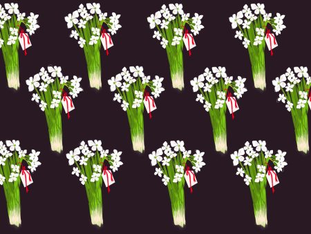 Paperwhites Earth Gift Wrap Discount