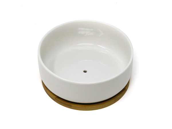 Large Succulent Planter Pot  White 6  Shallow Ceramic Bowl with Drainage Hole and Bamboo Saucer Online