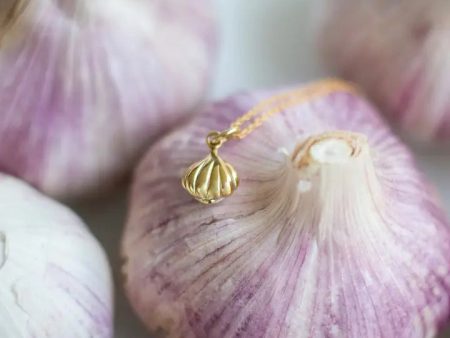 Garlic Necklace Online now