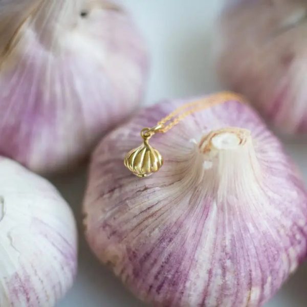 Garlic Necklace Online now