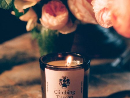 Climbing Tuscan Rosemary Candle For Sale