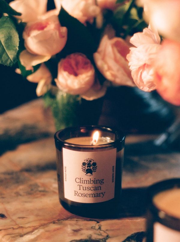 Climbing Tuscan Rosemary Candle For Sale