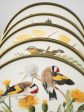 Set of 12 porcelain plates - Arthur Singer - Songbirds of the world - Wedgwood 10¾  Supply