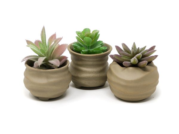 3pc Set Natural Clay Organic Shape Succulent Planter Pots Online Sale