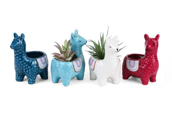 4 Pc. Set Alpaca Succulent Cacti Planter Pots For Discount