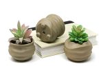 3pc Set Natural Clay Organic Shape Succulent Planter Pots Online Sale